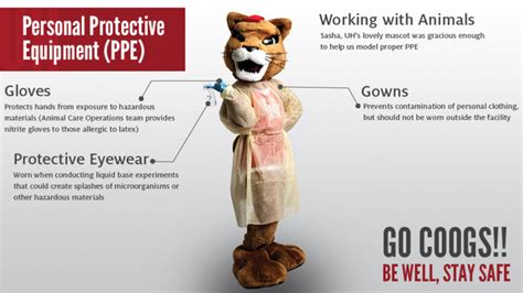 Ppe the Mascot: A Catalyst for Team Spirit and Camaraderie